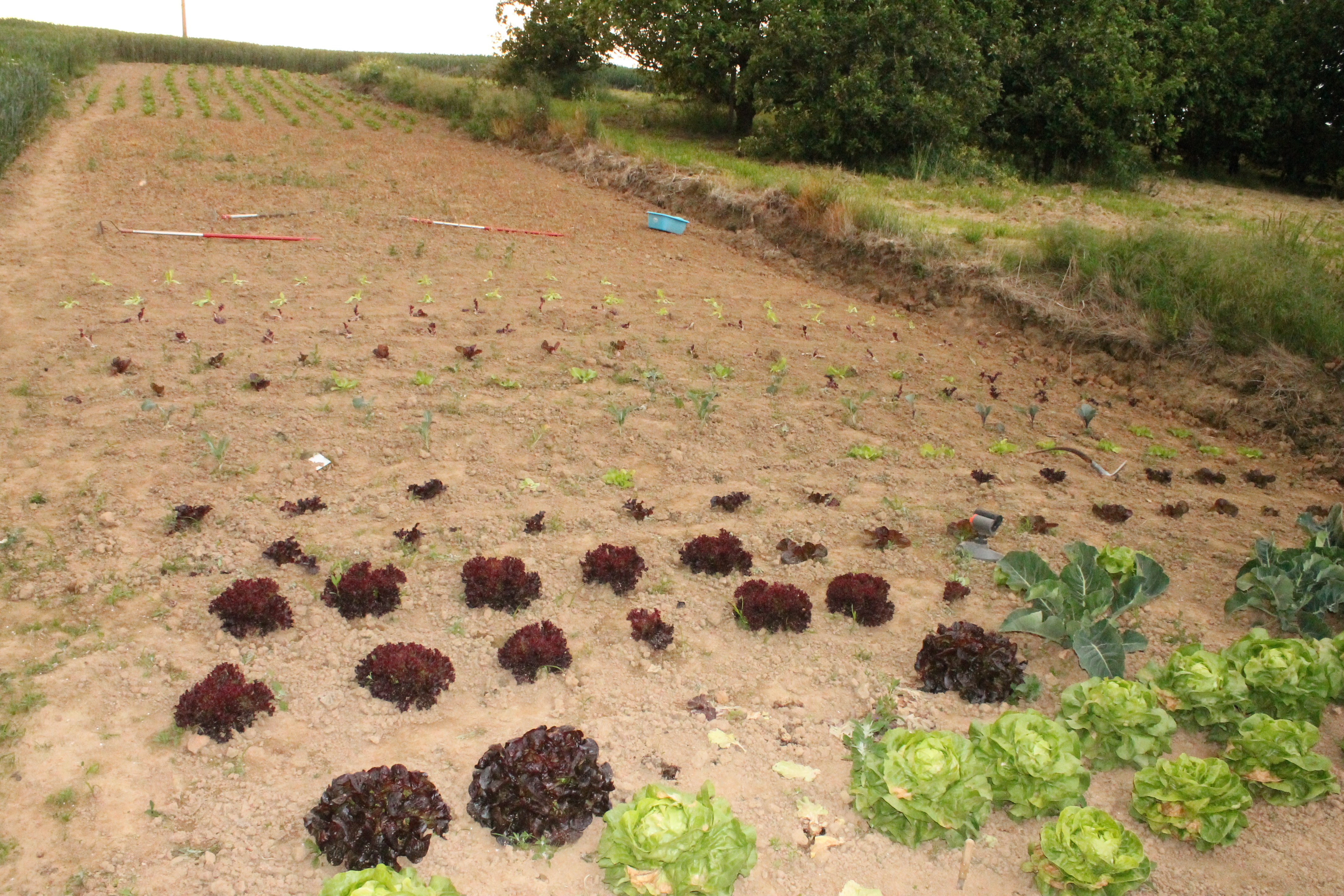 cours de religion 008