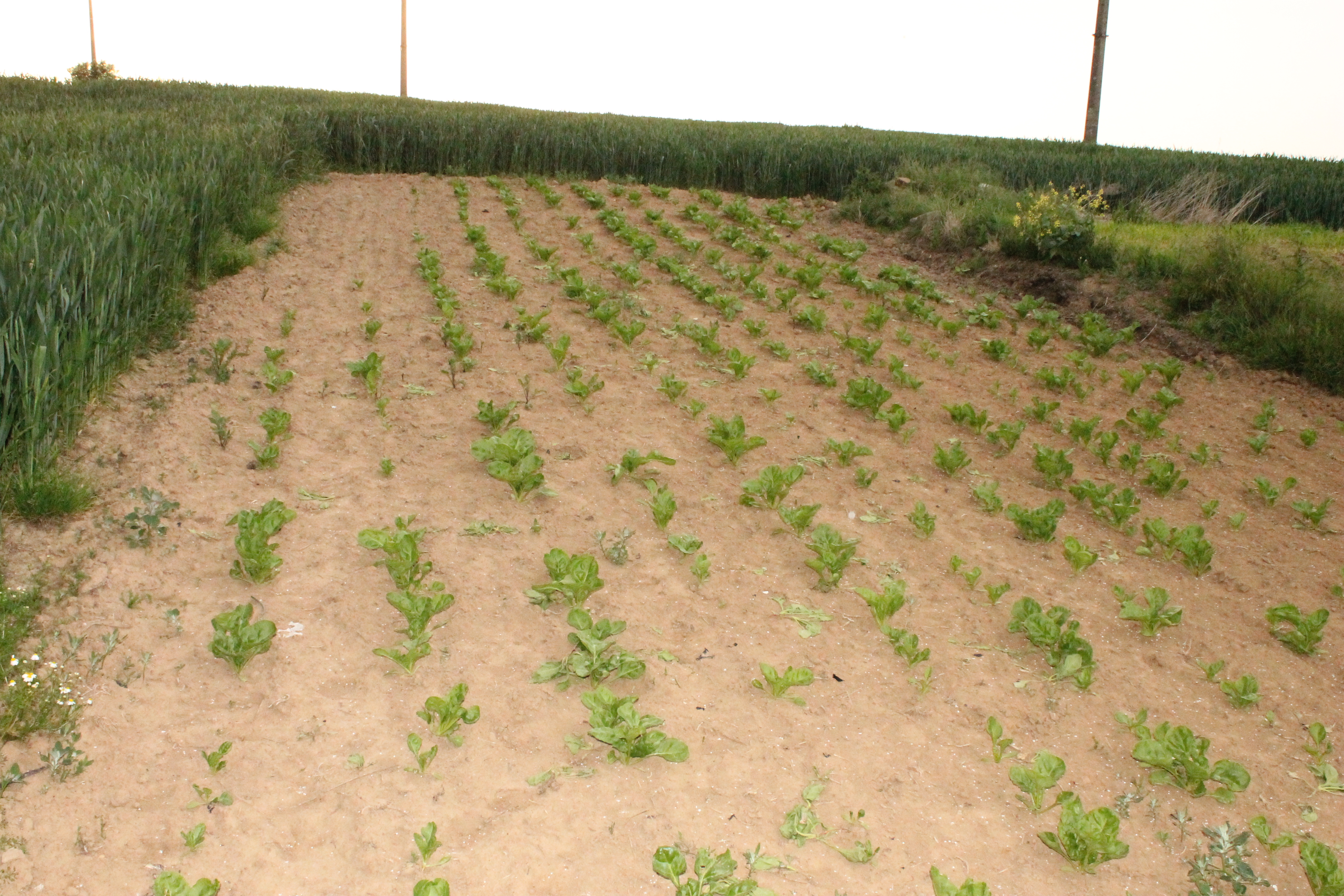 cours de religion 011