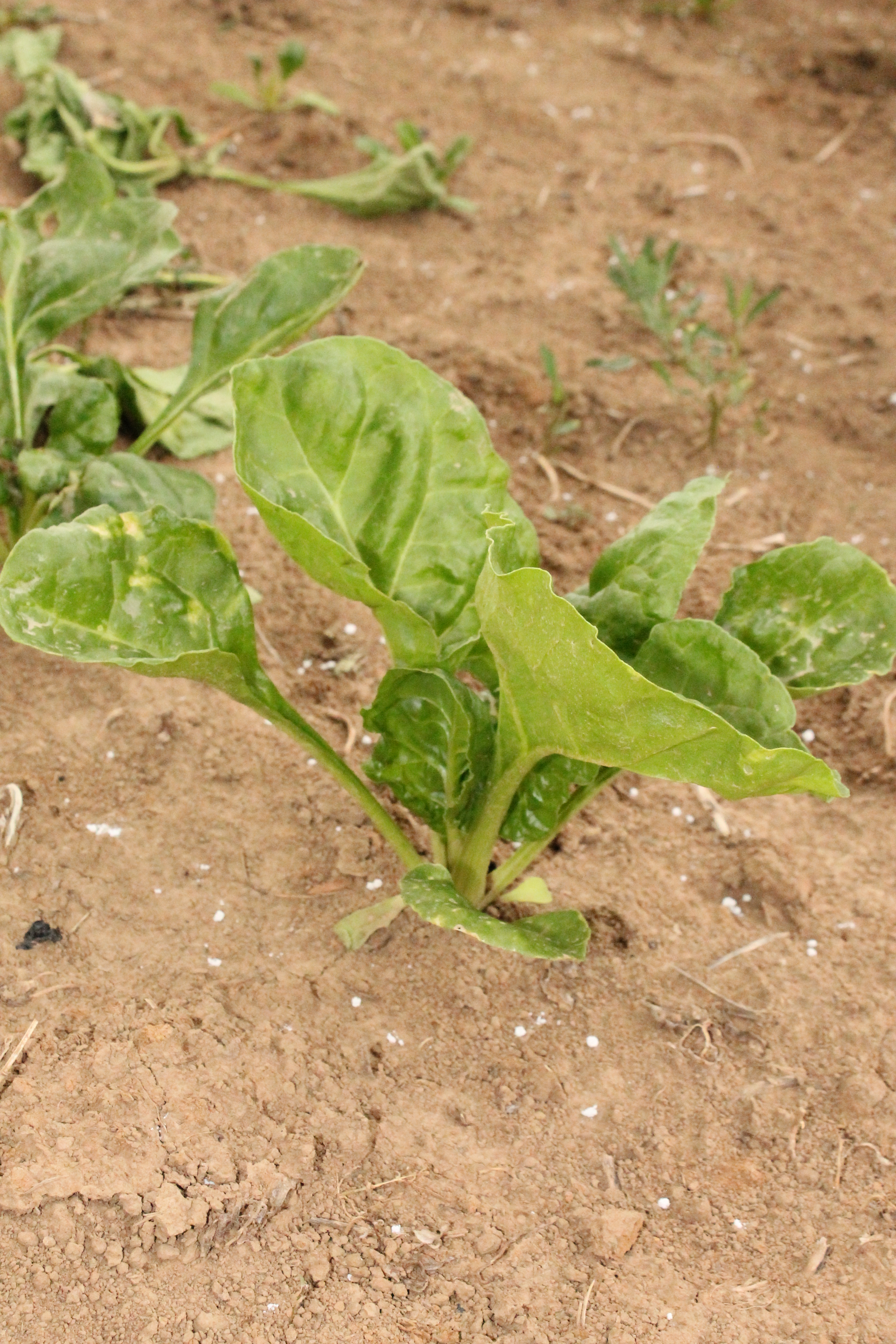 cours de religion 013