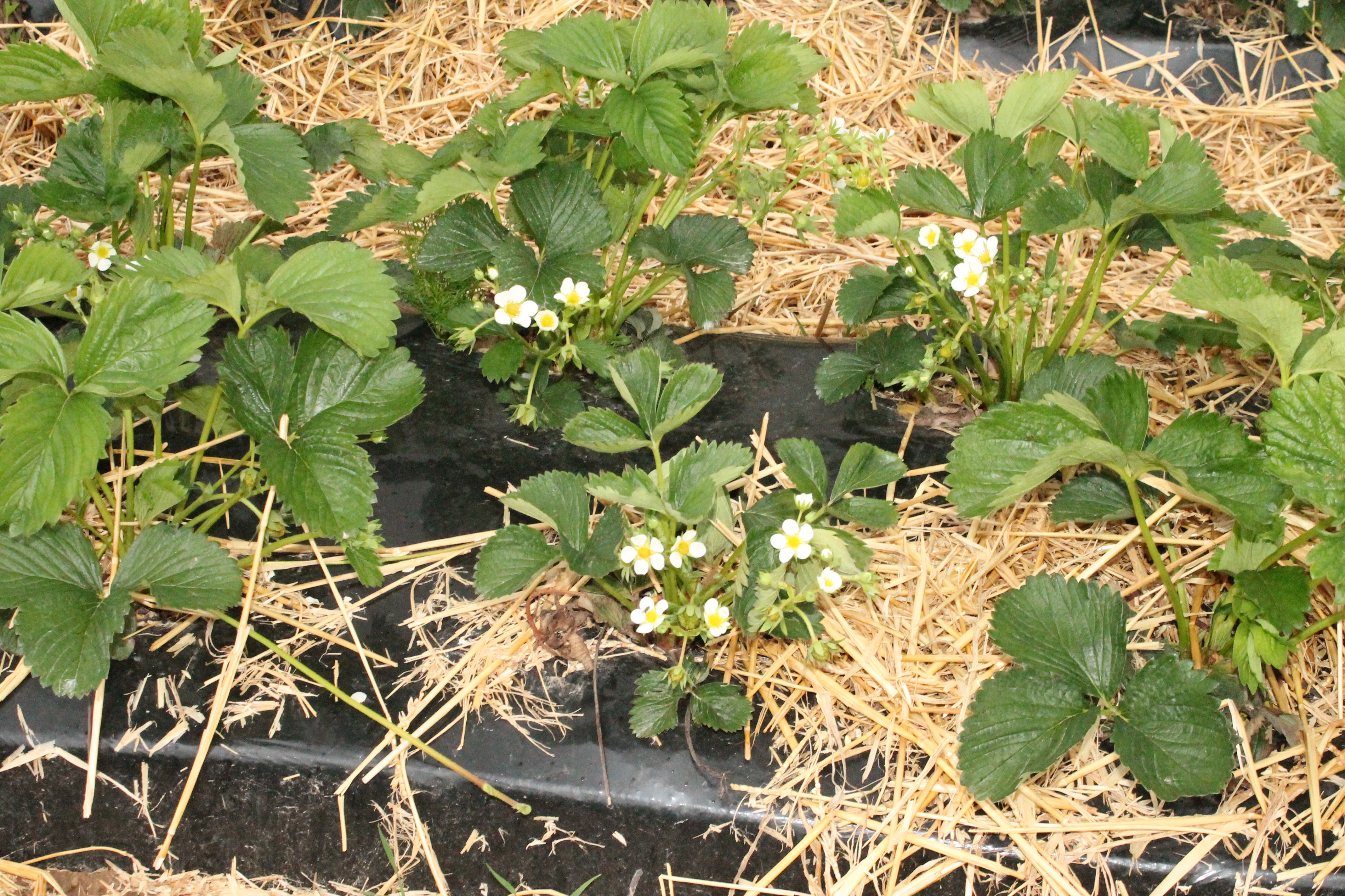 cours de religion 017