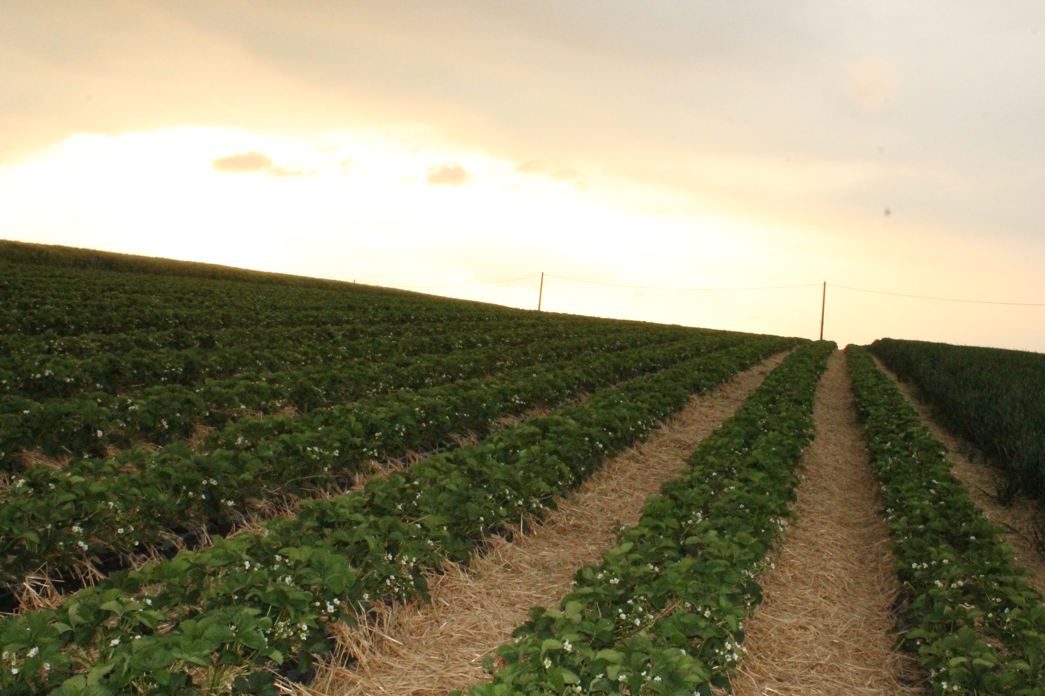 cours de religion 019