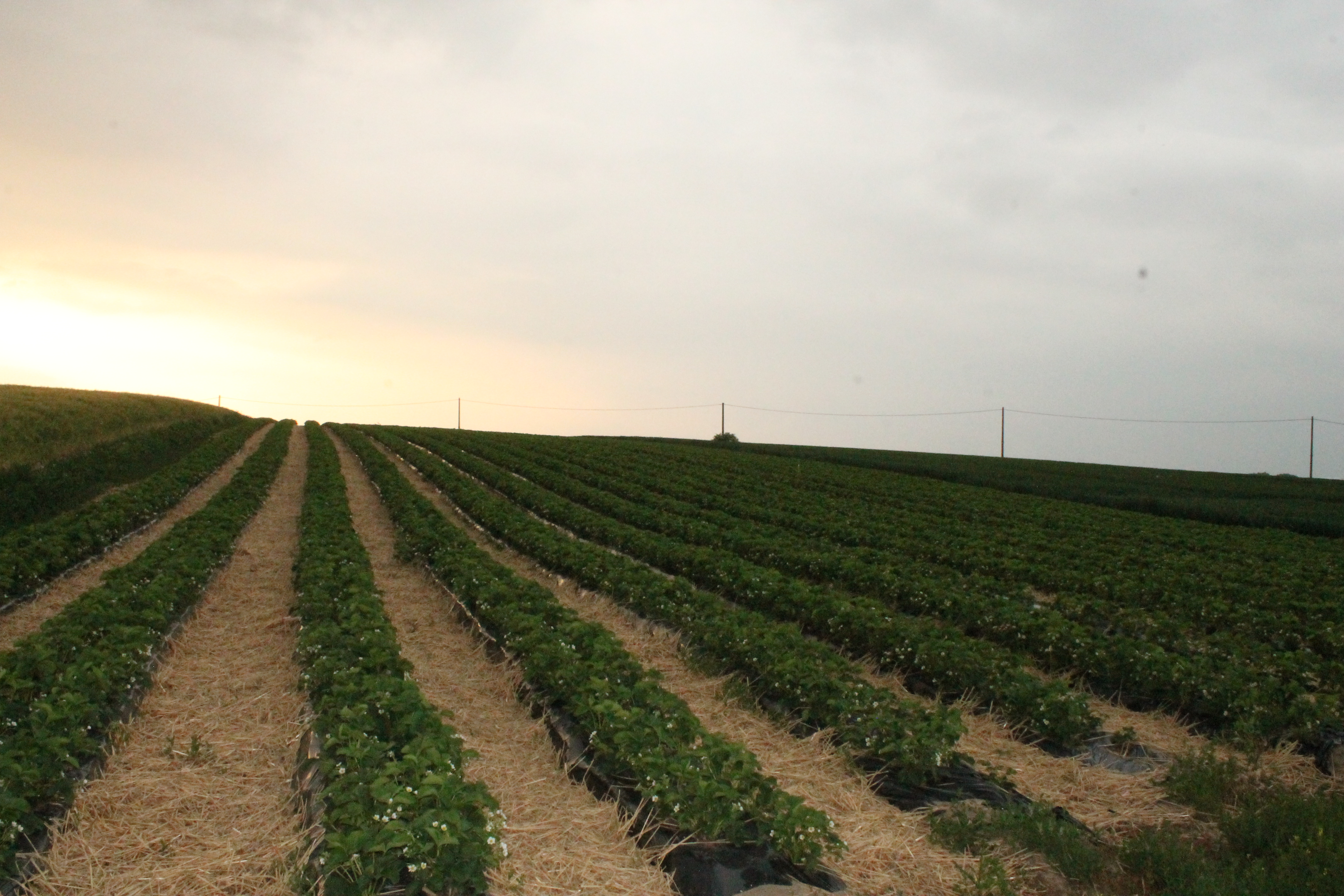 cours de religion 023