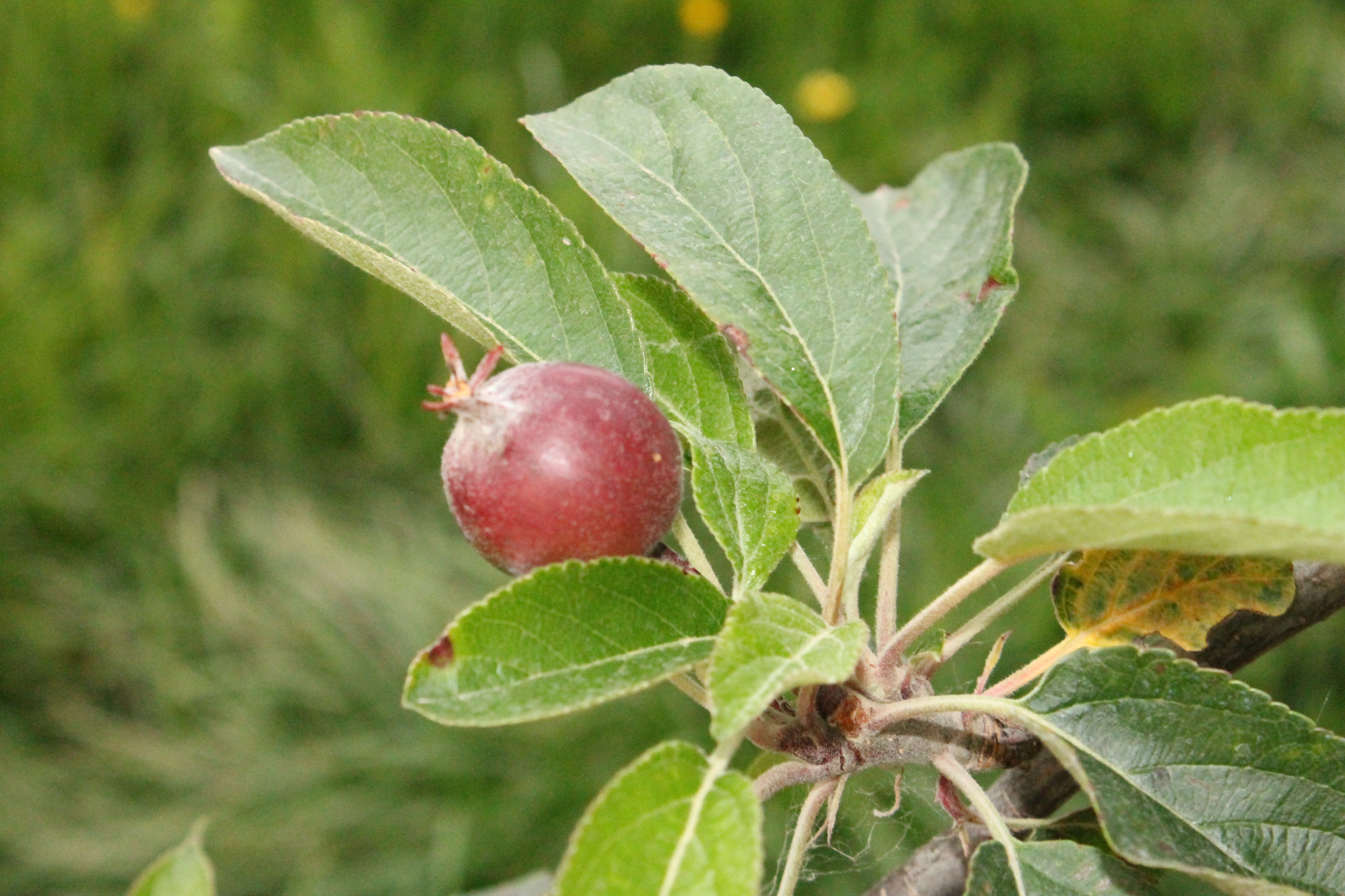 cours de religion 032