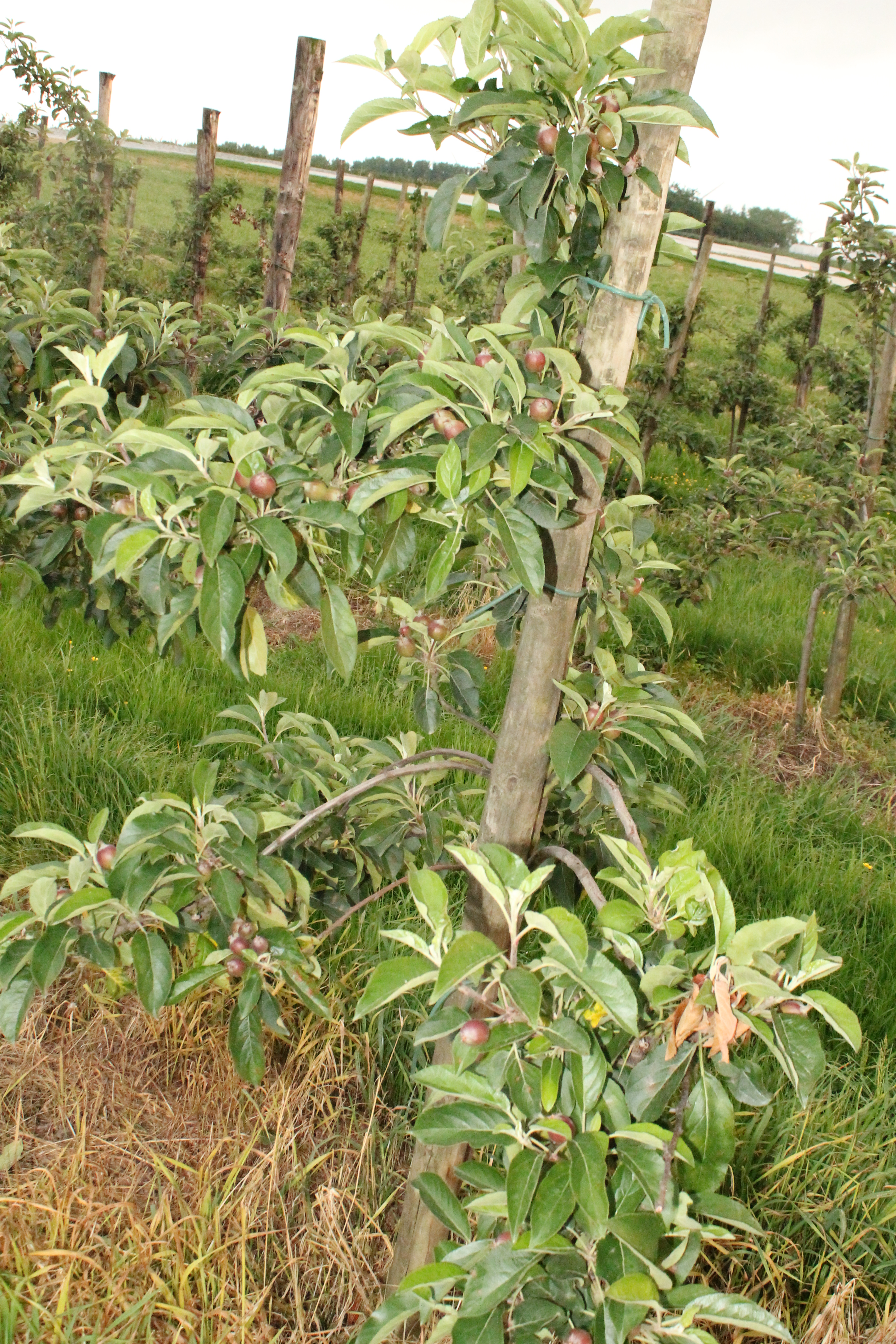 cours de religion 033