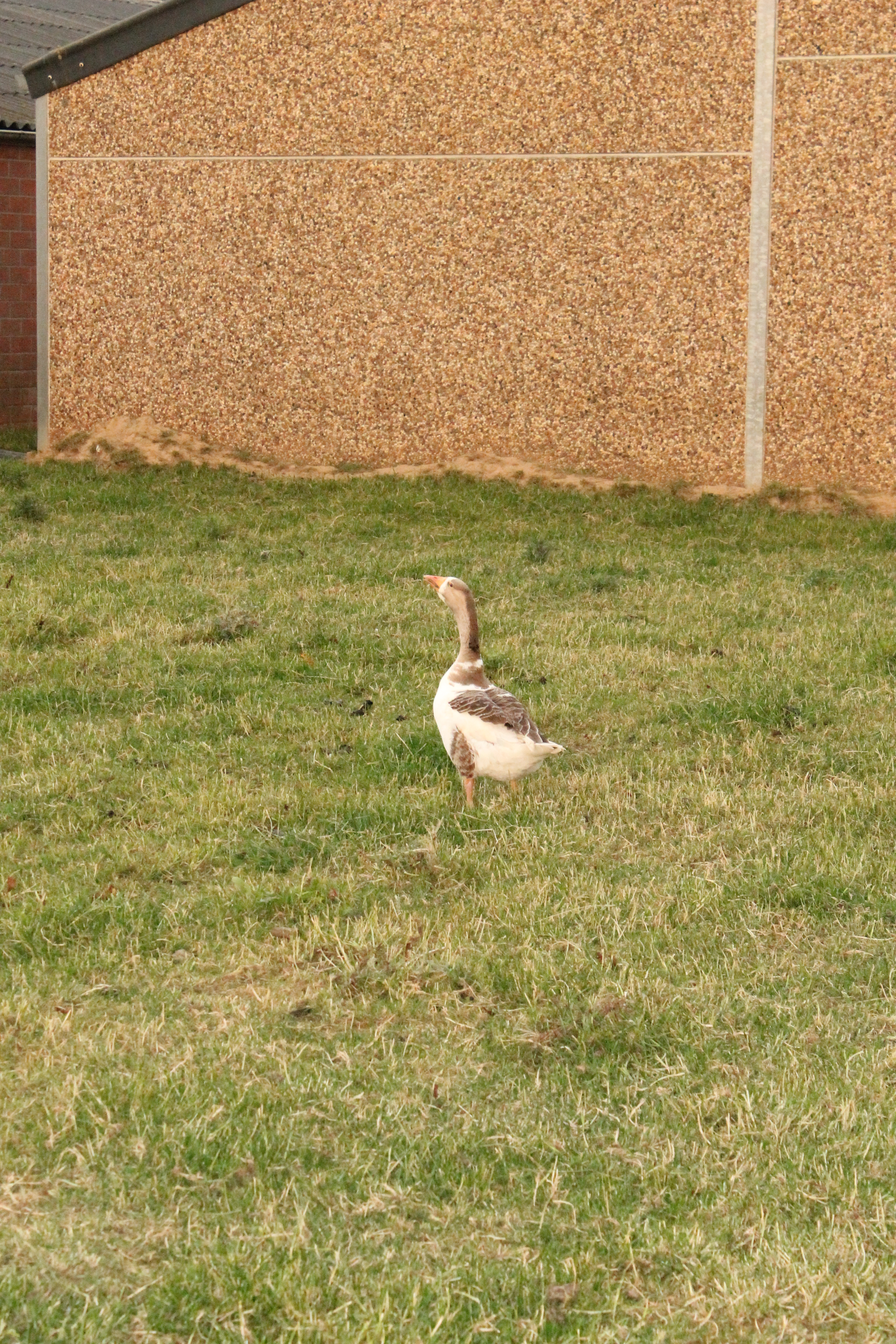 cours de religion 039