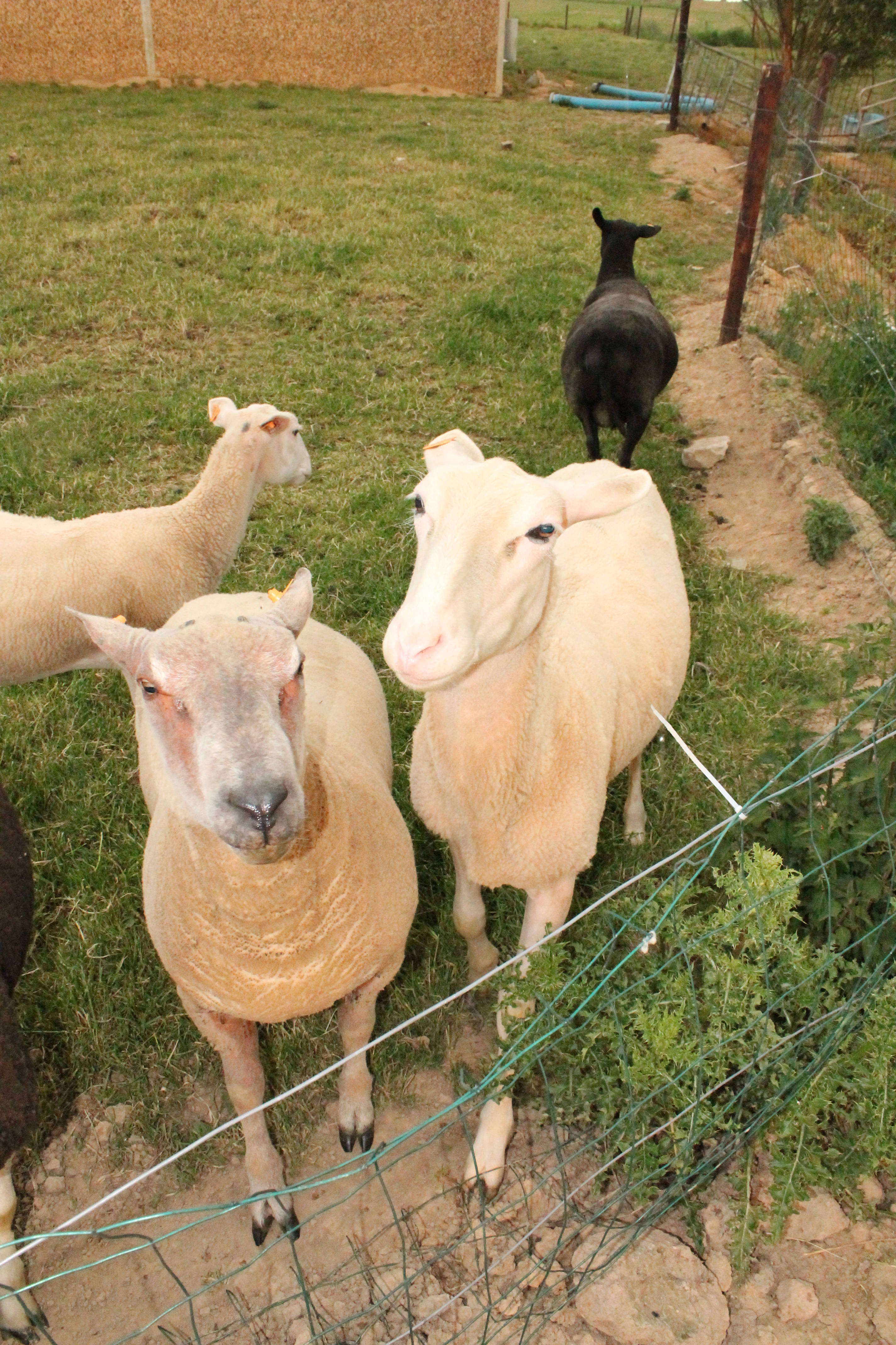 cours de religion 040