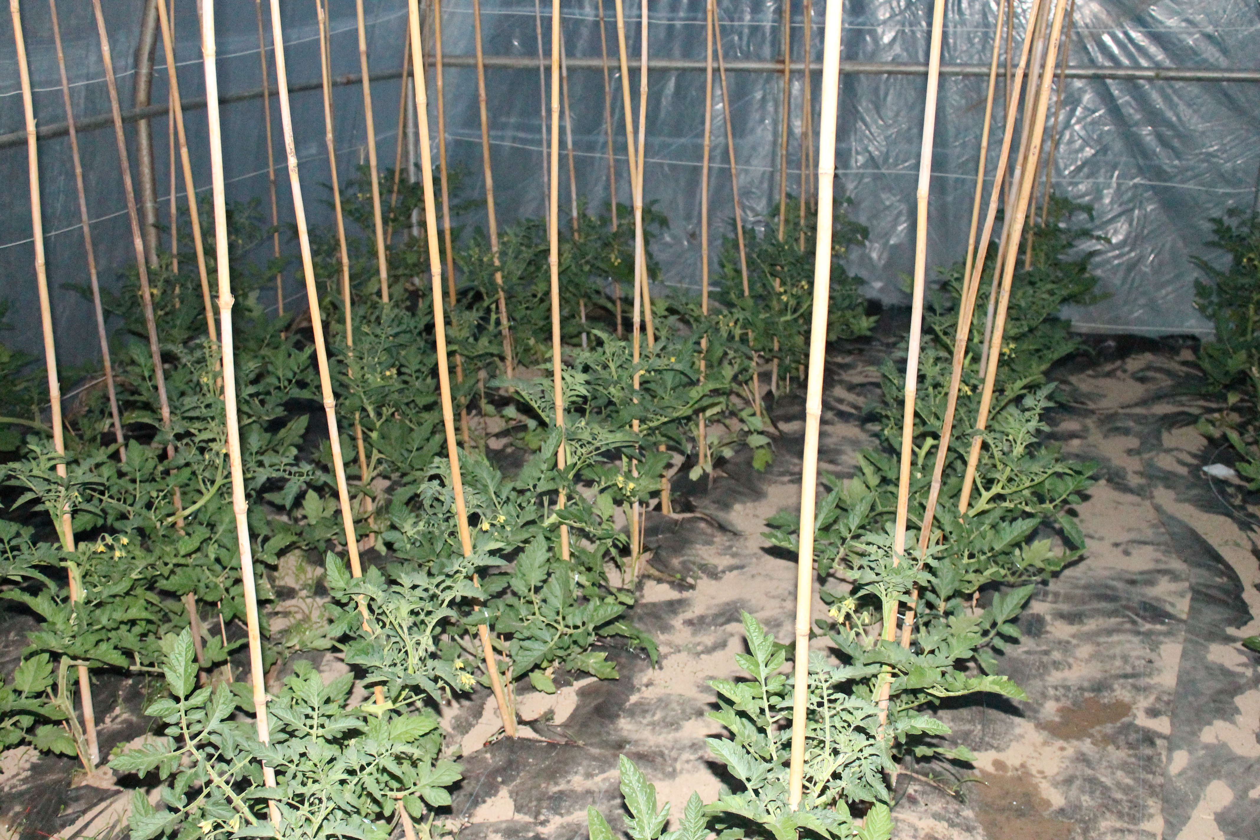 cours de religion 058